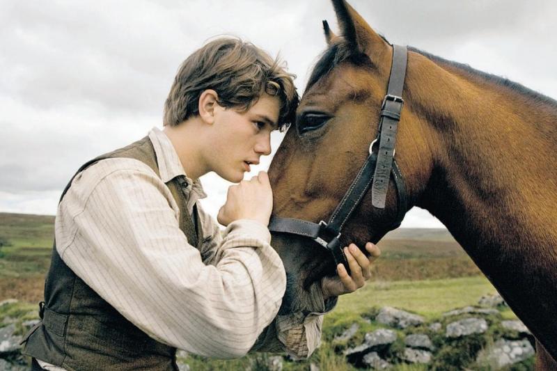 War Horse