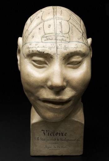 Phrenological Head, c1825