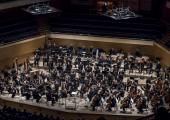 A very large orchestra – at the ready