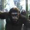 Andy Serkis rides again as Caesar, the ape messiah