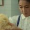 Nobuko Miyamoto perfecting her ramen tossing