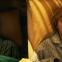 Living apart together: Endre (Geza Morcsanyi), Maria (Alexandra Borbely)