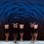 Buzz, feed: Crystal Pite's 'Emergence' is inspired by the behaviour of bees