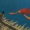 Robinson Crusoe meets his match