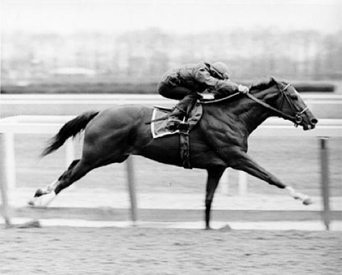 Secretariat | Film reviews, news & interviews | The Arts Desk