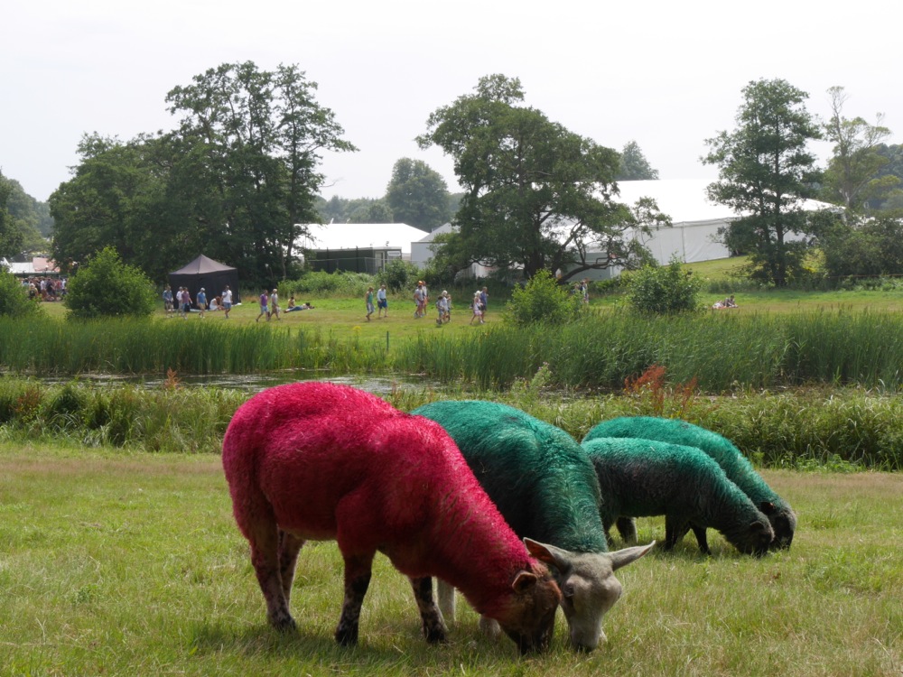 Latitude sheep