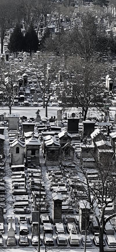 Photograph of Montparnasse Cemetery