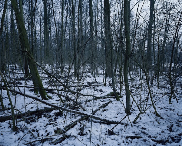 Chloe Dawn Matthews, Vebranden-Molen, West-Vlaanderen 2013 