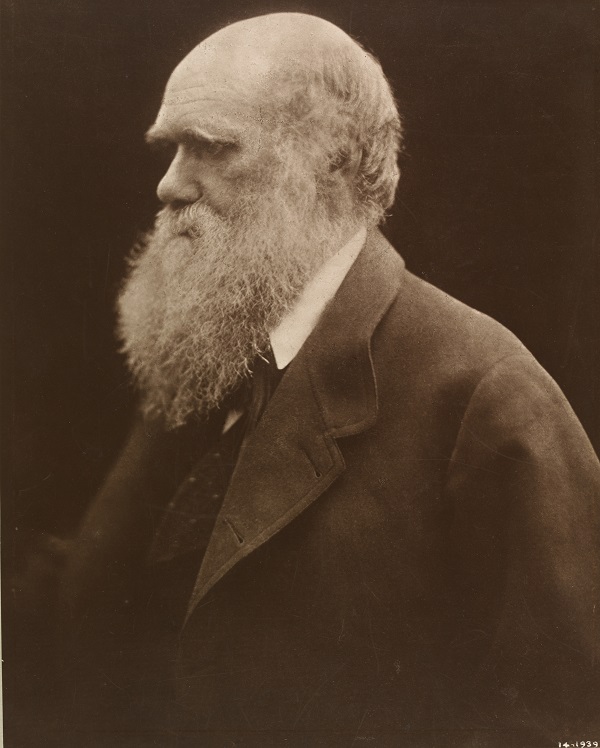Julia Margaret Cameron, Charles Darwin, 1868, printed 1875 © Victoria & Albert Museum, London