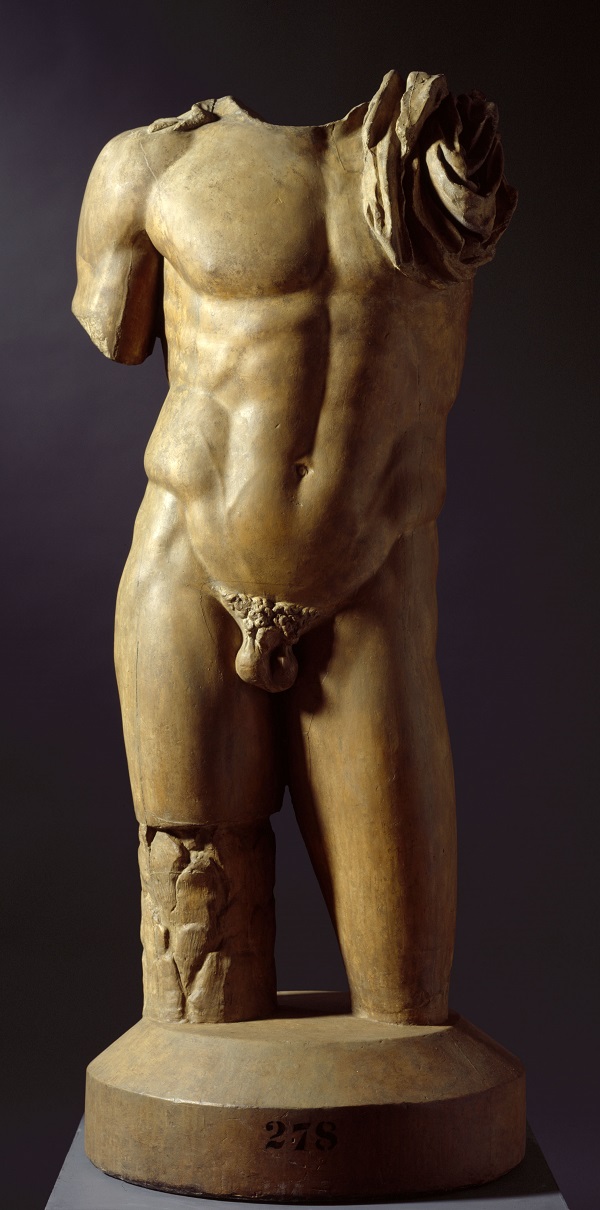 Male torso, 19th century. Plaster cast, Photo Royal Academy of Arts, London 