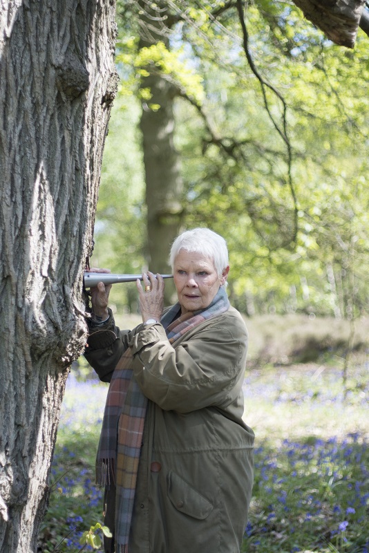 Judi Dench: My Passion for Trees