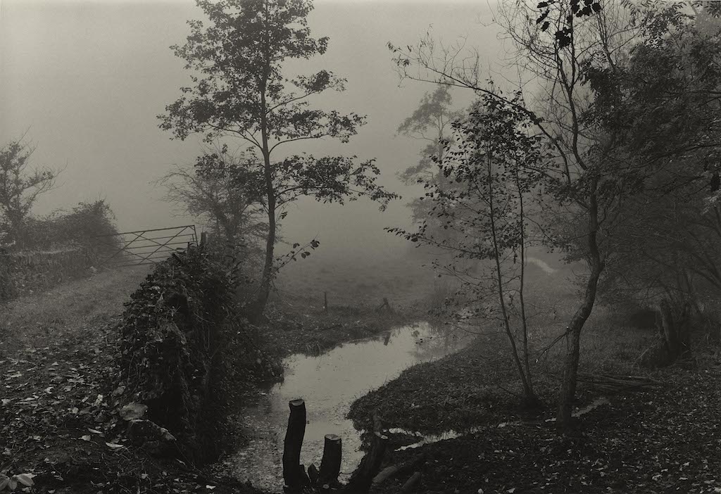 Don McCullin, Tate Britain