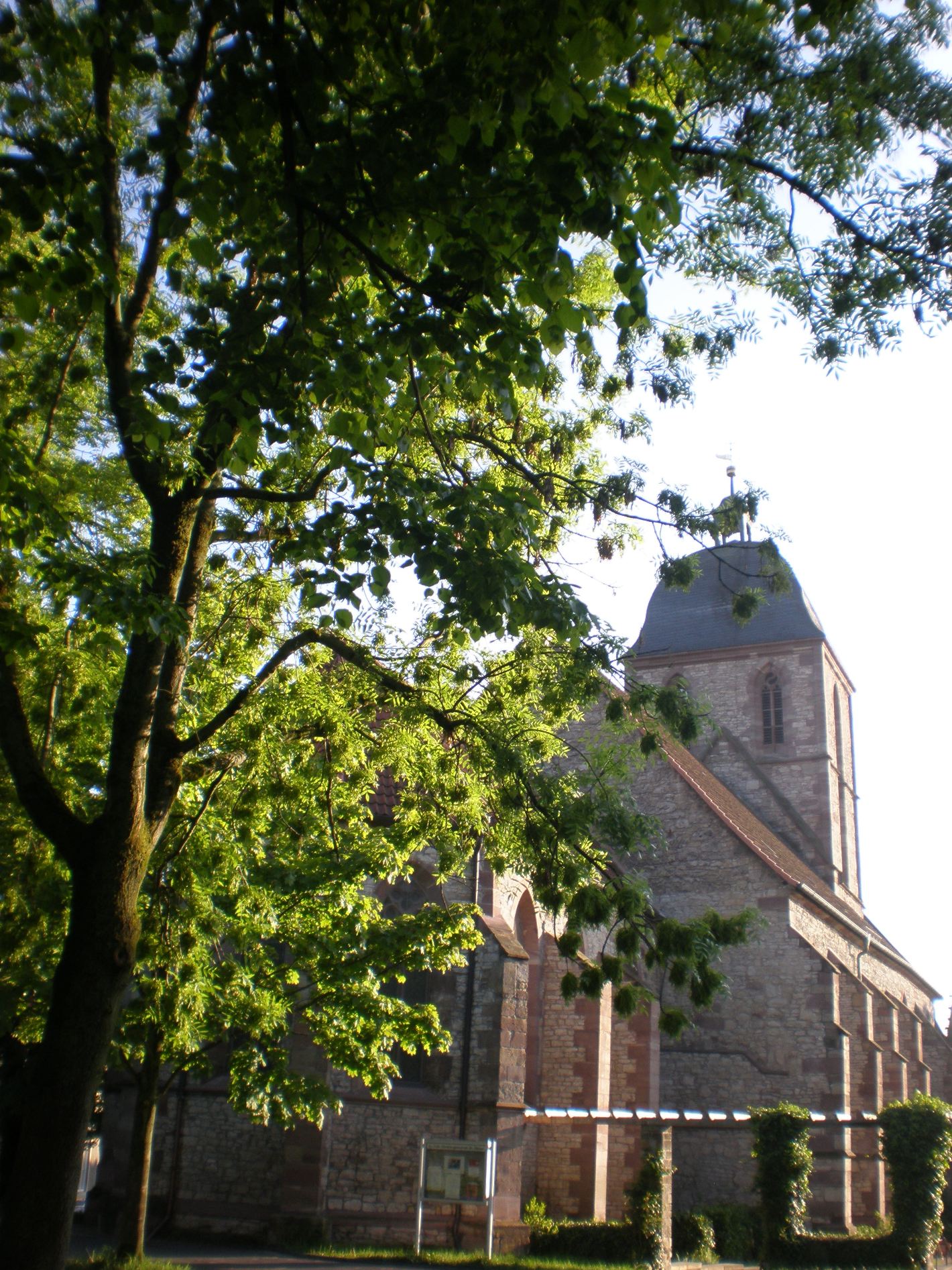 Albanikirche Gottingen, photo by David Nice