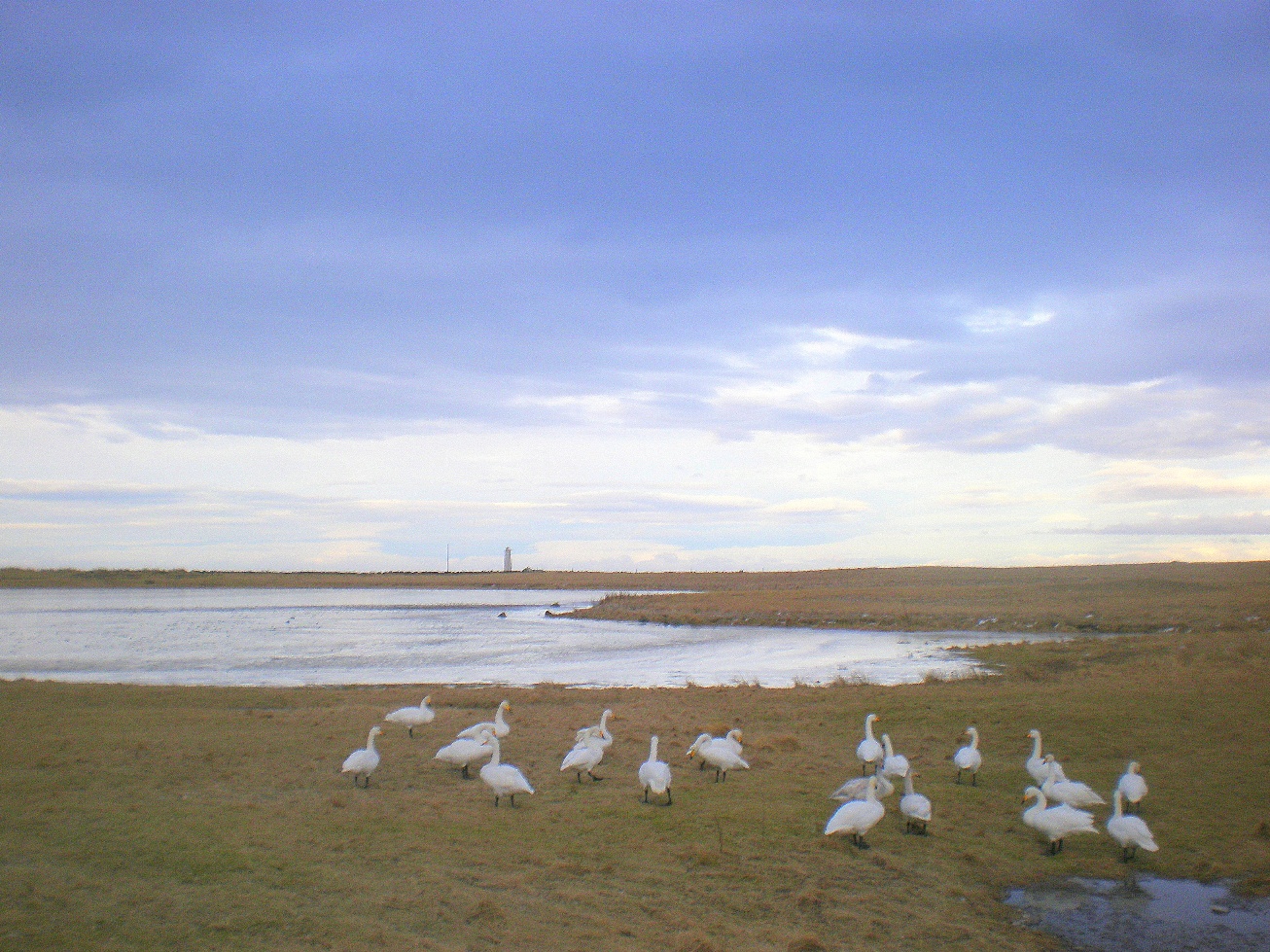 Seltjarnarnes lighthouse