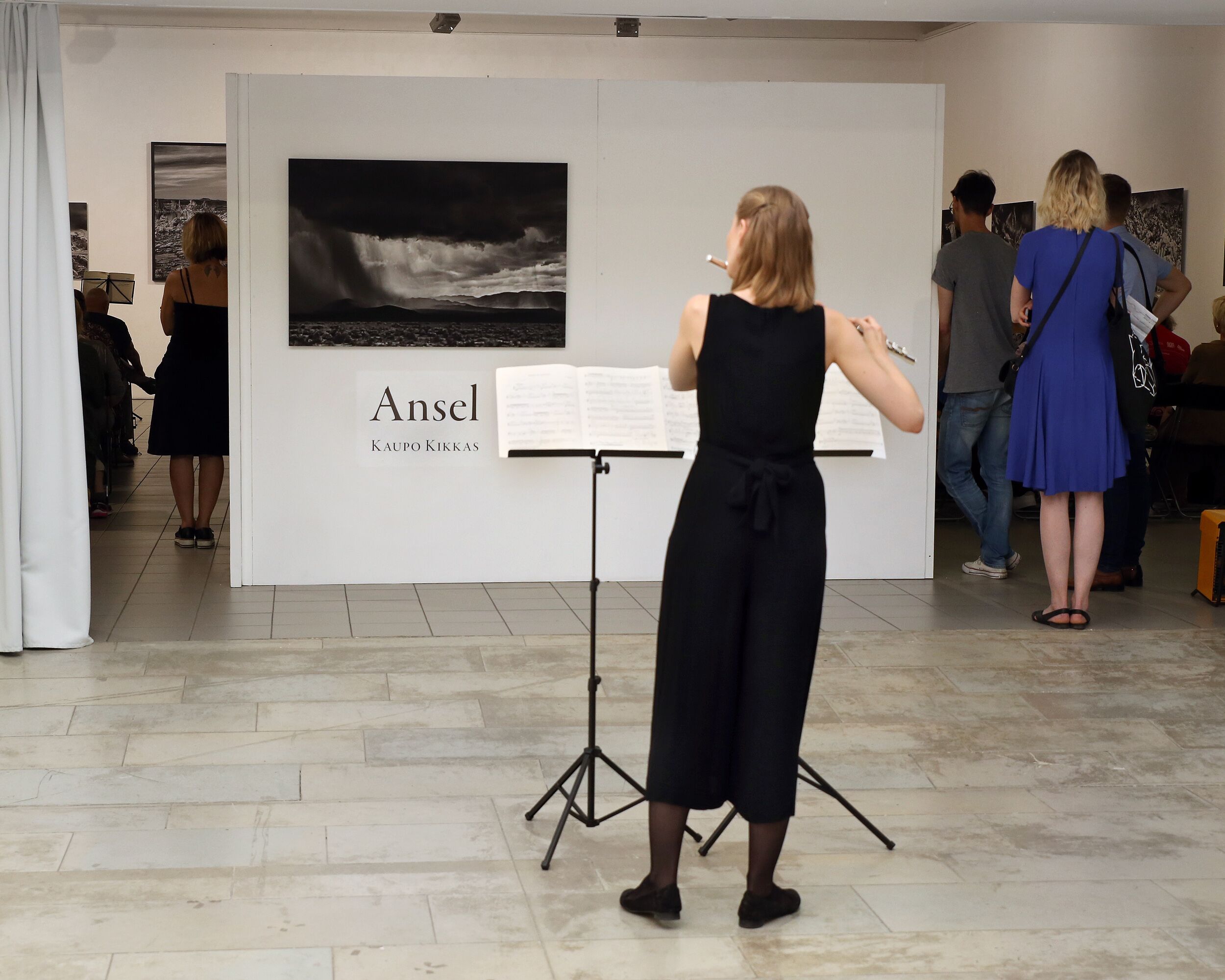 Maria Luisk at Kaupo Kikkas's Ansel exhibition concert