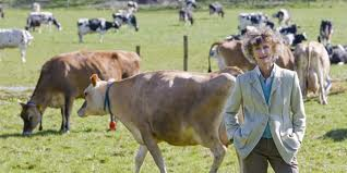 Lady Dufferin and Clandeboye cows