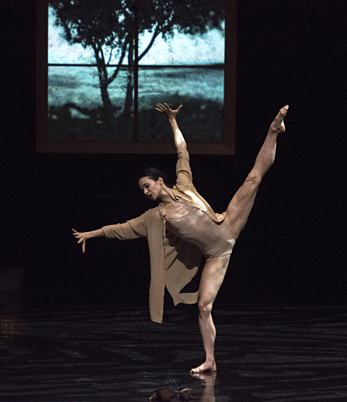 Diana Vishneva in Woman in a Room