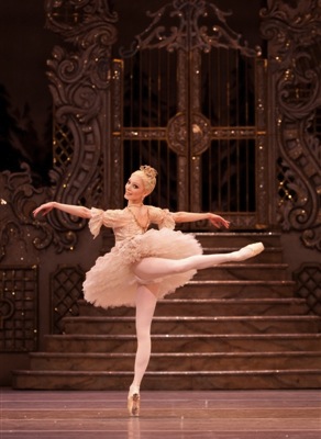 royal ballet sarah lamb nutcracker