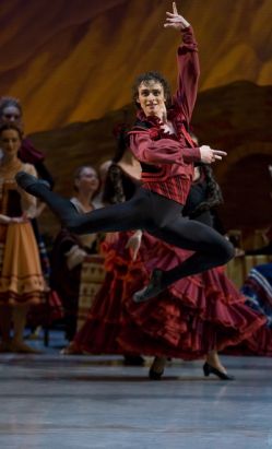 Mikhailovsky_laurencia