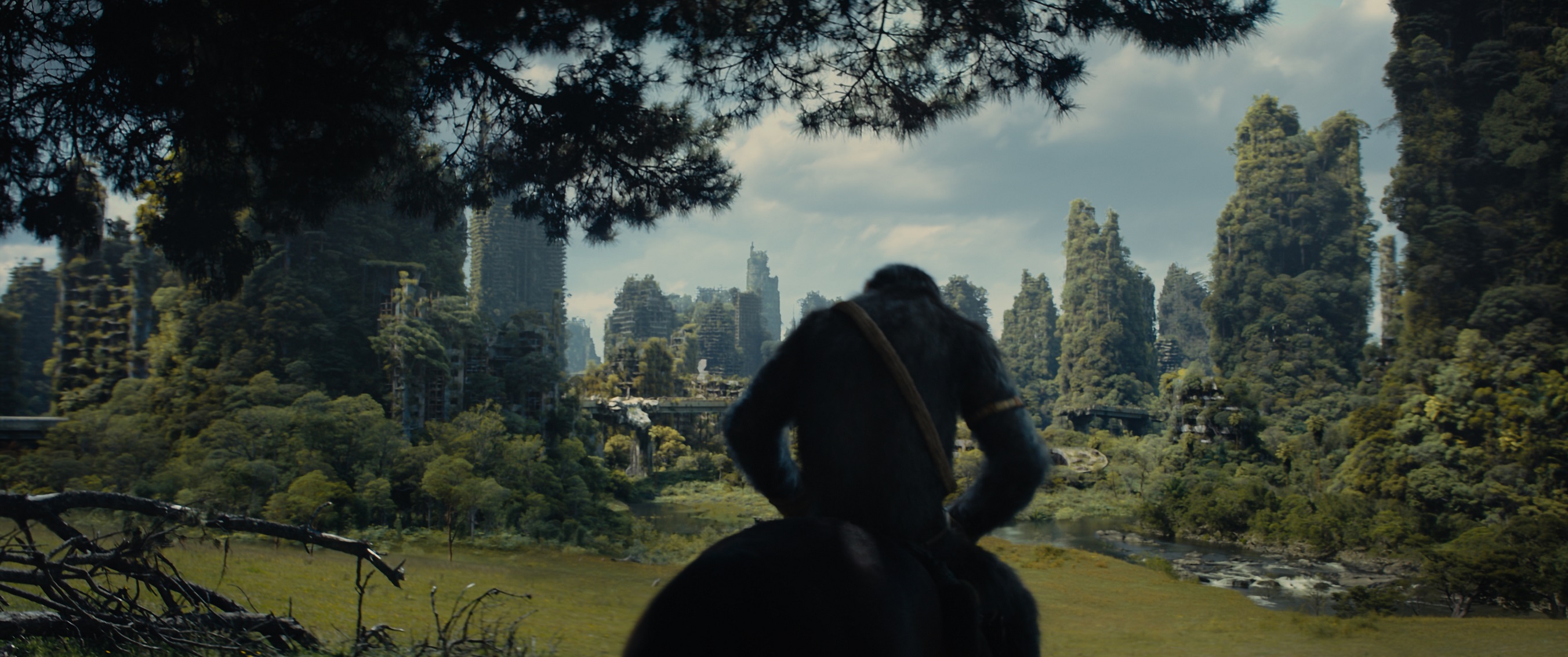 A green world in Kingdom of the Planet of the Apes