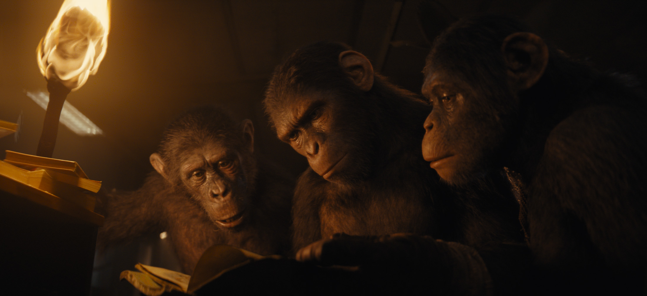 Reading in Kingdom of the Planet of the Apes