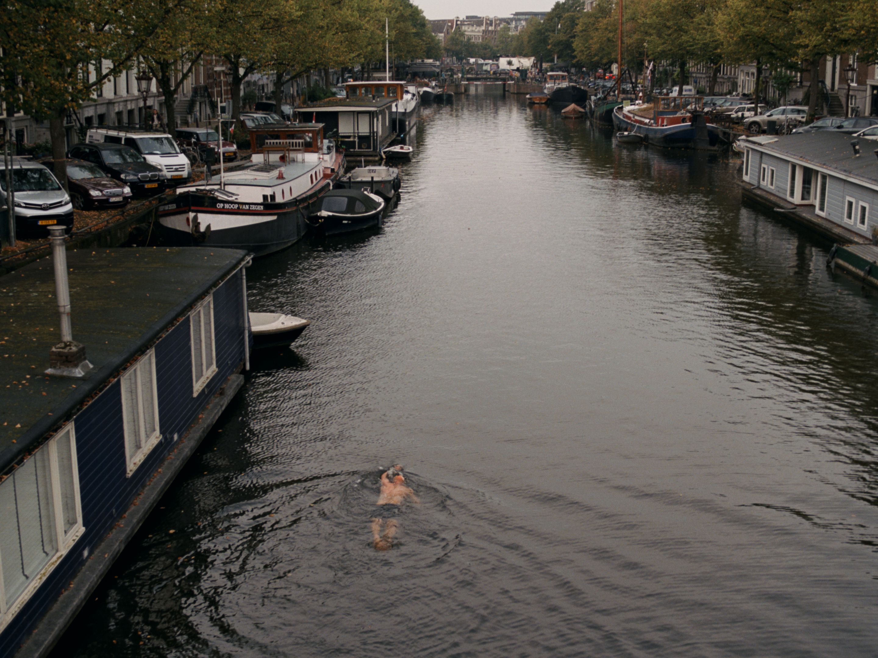 Canal swimmer in Occupied City