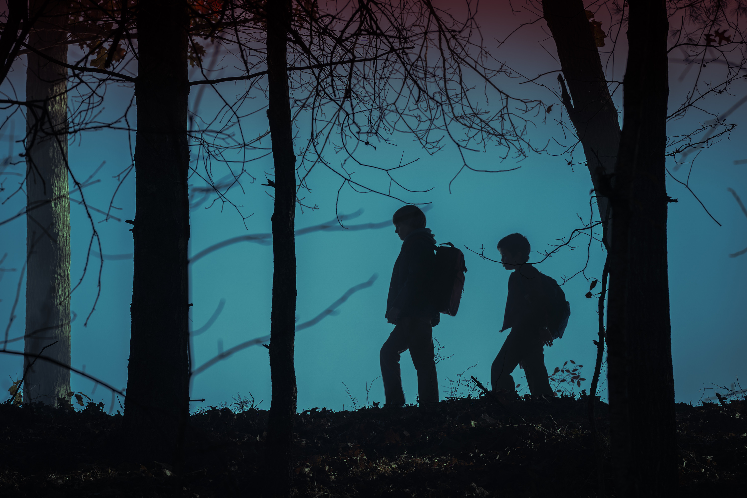 The Glick boys go into the woods in Salem's Lot