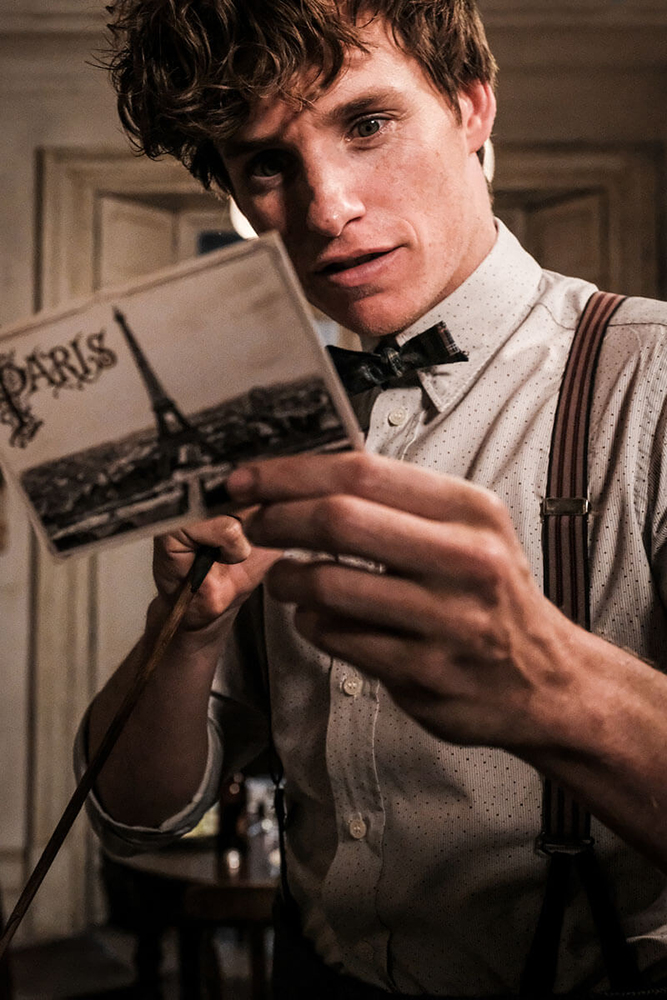 Eddie Redmayne in Fantastic Beasts: The Crimes of Grindelwald