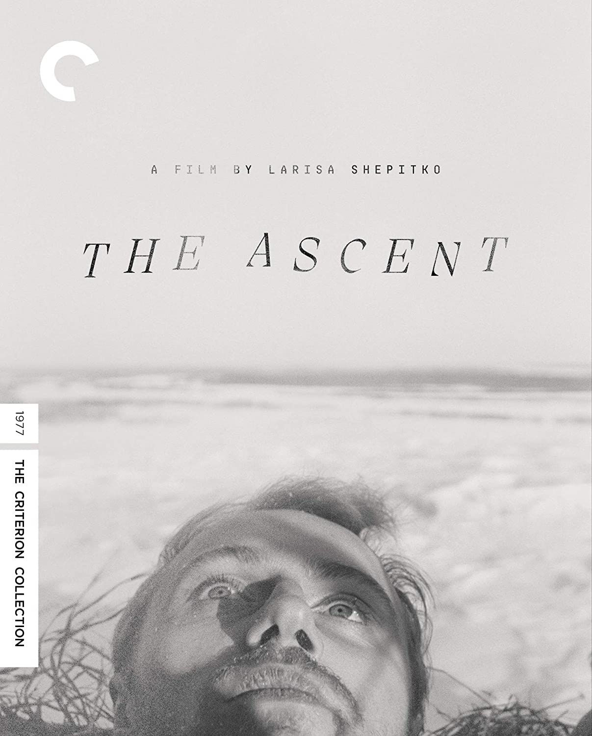 The Ascent cover