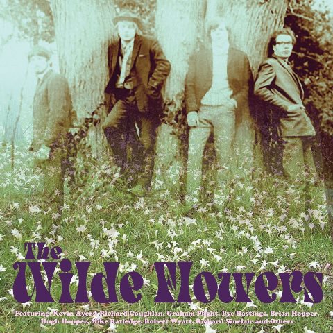 the wilde flowers