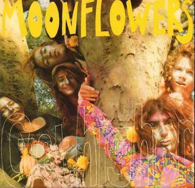 moonflowers