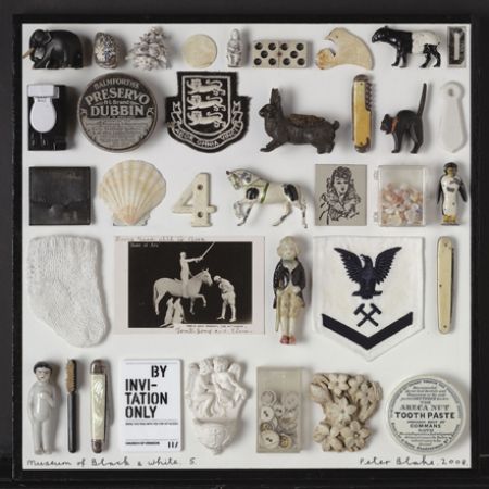 C_Peter_Blake__Homage_to_Mark_Dion_Museum_of_Black__White_No.5_2010