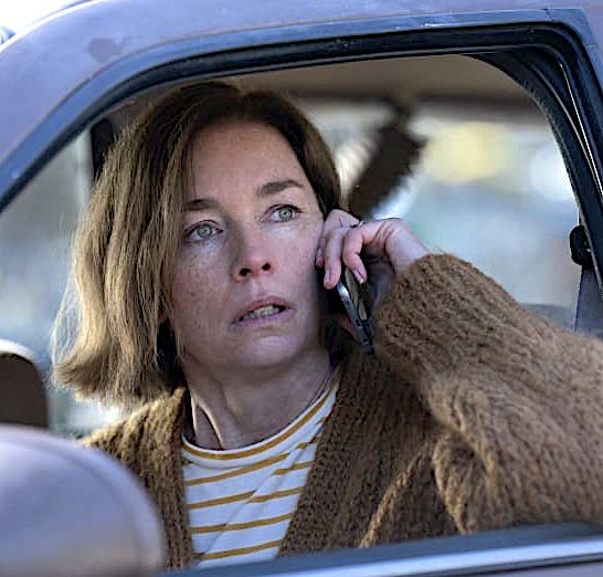 Julianne Nicholson in The Outsider (Sky Atlantic