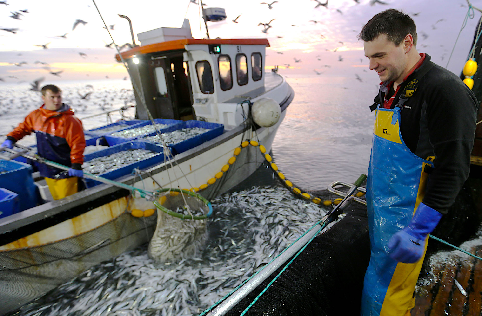 Cornwall: This Fishing Life, BBC Two review - a precarious trade on the  ocean wave