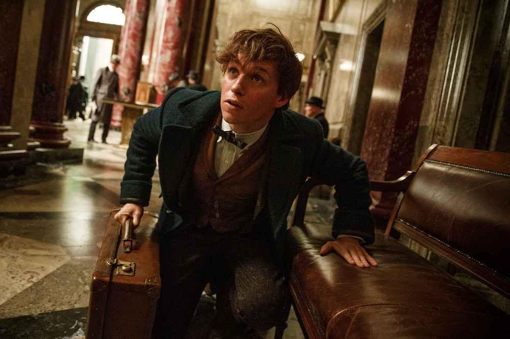 Fantastic Beasts and Where to Find Them The Arts Desk