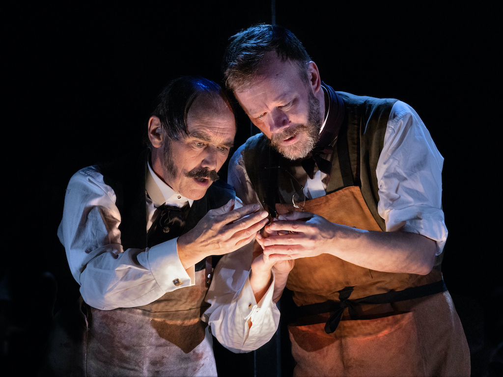 Dr Semmelweis, Harold Pinter Theatre review - a play in search of a bedside  manner