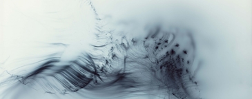 アート・デザイン・音楽 Wolfgang Tillmans / Serpentine Gallery アート・デザイン・音楽 Wolfgang Tillmans / Serpentine