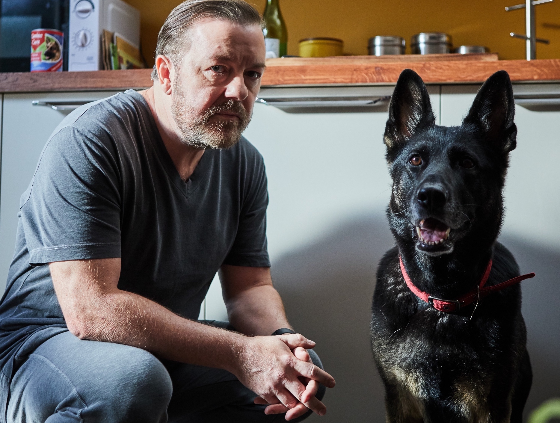 after-life-series-2-netflix-ricky-gervais-s-study-of-bereavement