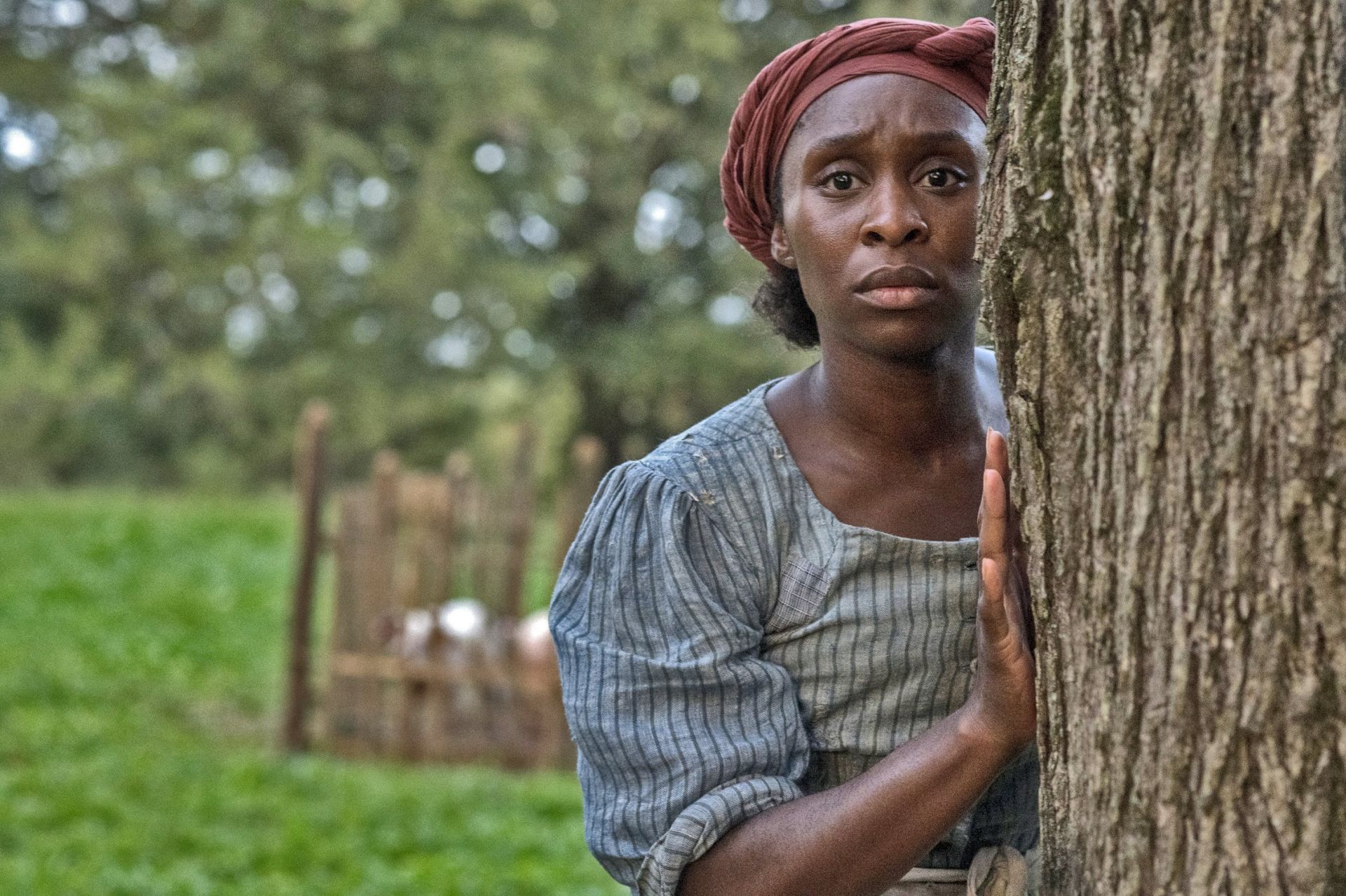 Harriet Review Potentially Stirring Biopic Proves A Slog