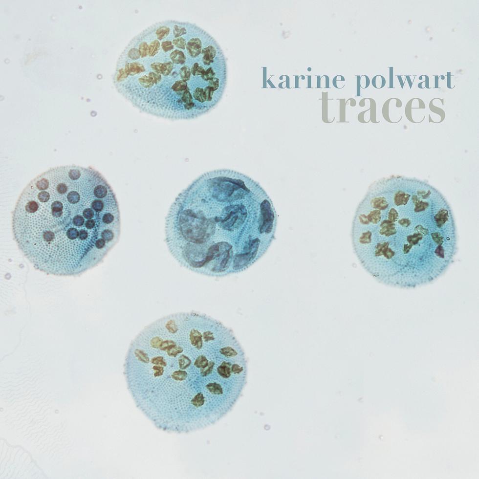 CD Karine Polwart Traces The Arts Desk