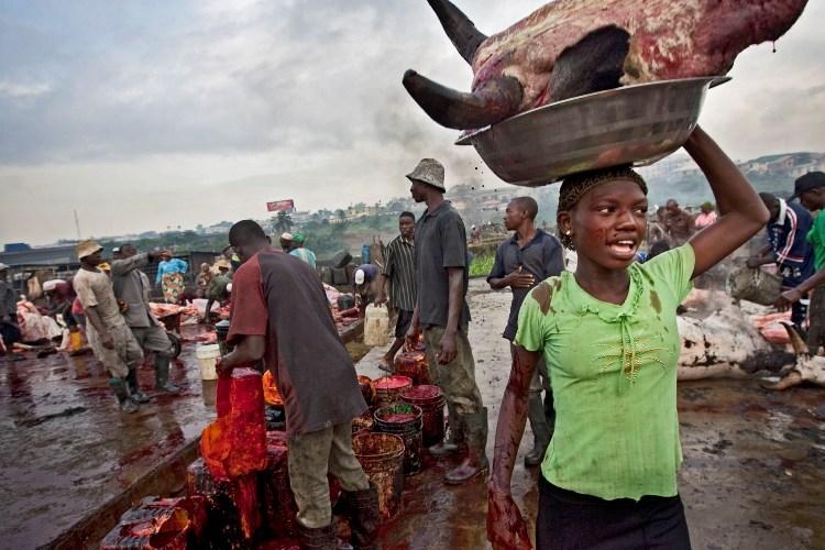 Heavy load in Lagos: a woman carries a whole cow head away from the market