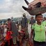 Heavy load in Lagos: a woman carries a whole cow head away from the market
