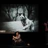 Dog eat dog: 'David Michalek's images dominate the projected backdrop'