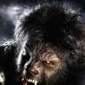Return of the hairy cornflake: somewhere in there is Benicio Del Toro, star of The Wolfman