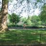 Battersea Park: run a half-marathon there and then go clubbing, all to raise money for planting urban trees