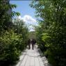 'A dramatic statement, 25ft off the ground': High Line Park in Manhattan