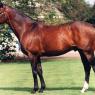 Sadler's Wells 1981-2011: Dancing to victory was in his blood 