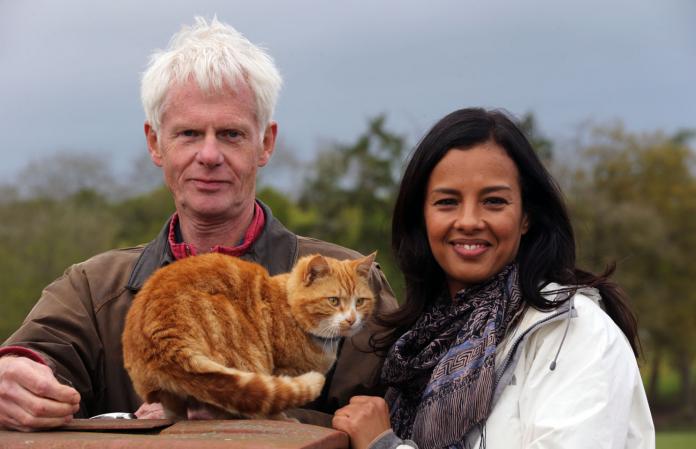 Cat Watch 2014 The New Horizon Experiment Bbc Two The Arts Desk
