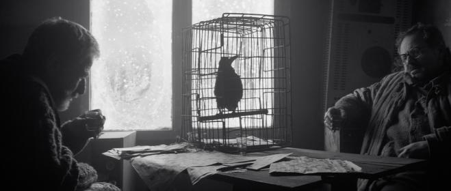 Nevermore: Iossif Surchadzhiev, Samuel Finzi, and crow in 'January'