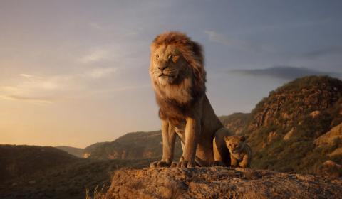 Father's pride: Musafa and Simba